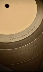 Andrius Mamontovas – Geriausios Dainos. I Dalis 2XVINYL viršelis