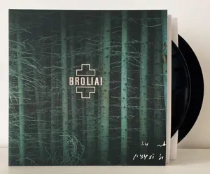 Aistė Smilgevičiūtė, Skylė – Broliai 2XVINYL viršelis