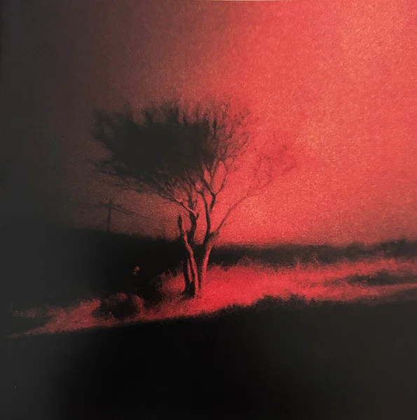 Joji – Piss In the Wind CD viršelis