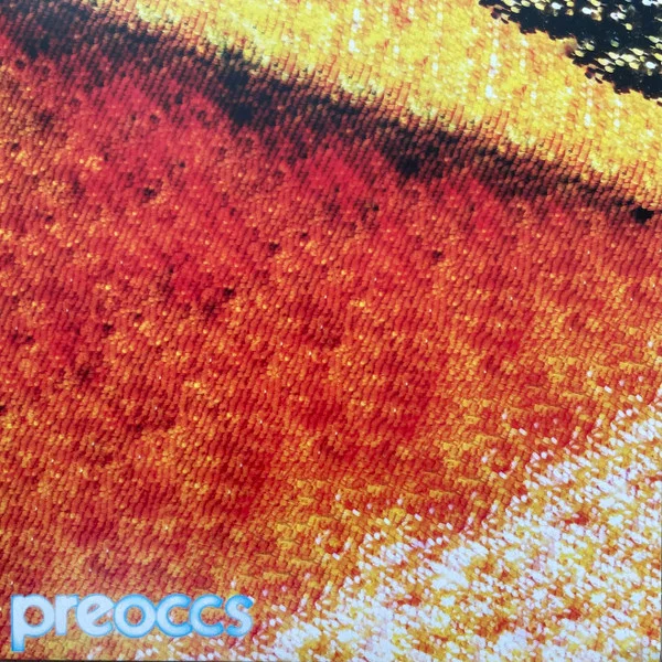 Preoccupations – 7-Mur/Ponr 12INCH viršelis