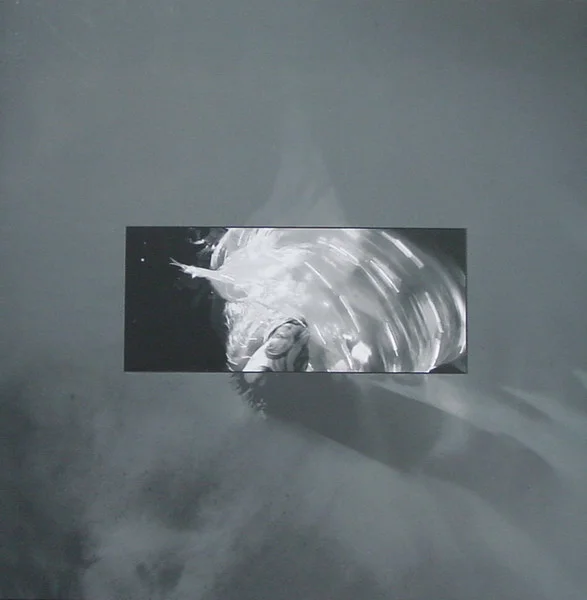 Lucid Haze – Live At World Culture ... LP viršelis