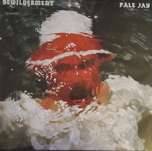 Pale Jay – Bewilderment LP viršelis