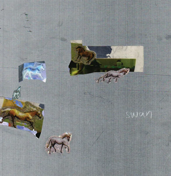 Fazed On a Pony – Swan LP viršelis
