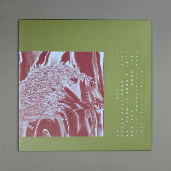 Pariah – Here From Where We Are LP viršelis
