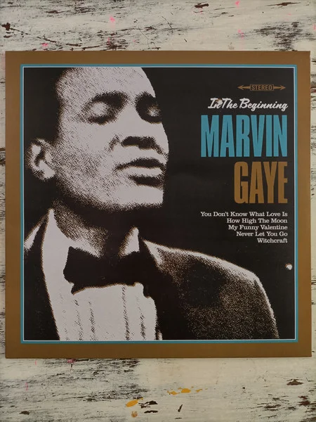 Gaye, Marvin – In the Beginning LP viršelis