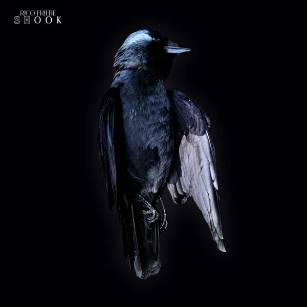 Friebe, Rico – Shook CD viršelis